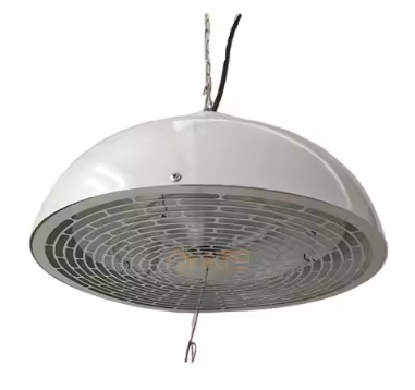 Shoe dryer heater
